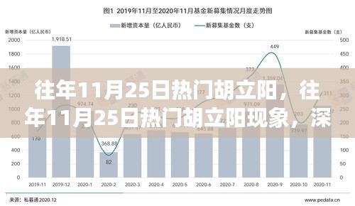 深度解析與觀點(diǎn)闡述，胡立陽(yáng)現(xiàn)象——?dú)v年11月25日的熱門焦點(diǎn)