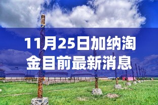 加納淘金最新動態(tài)，探尋秘境的心靈之旅