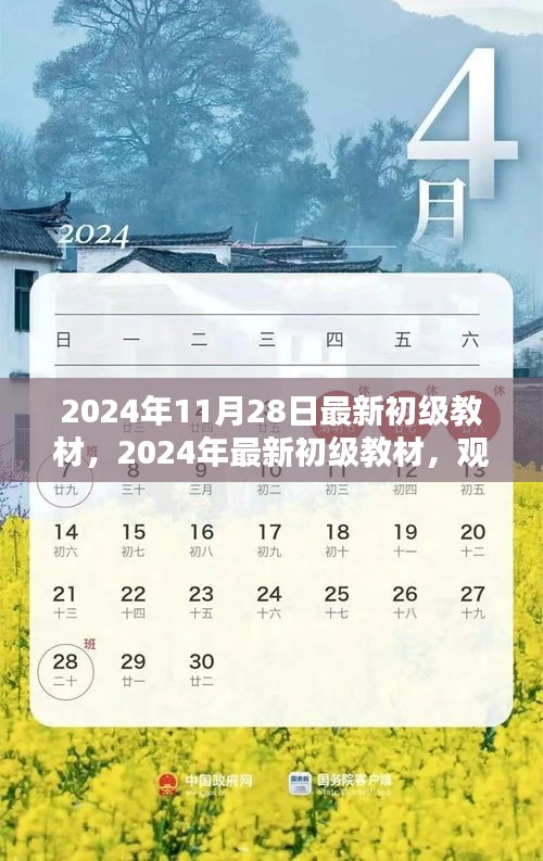 觀點(diǎn)闡述與深度分析，最新初級教材深度解讀（2024年最新版）