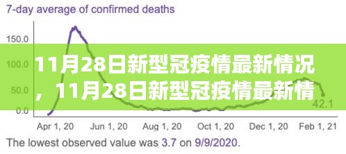 全面評(píng)測(cè)與深度解析，11月28日新冠疫情最新情況