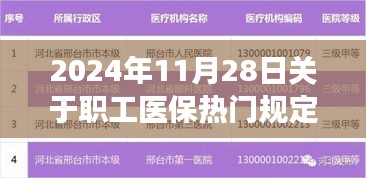 重磅！2024年職工醫(yī)保新規(guī)定詳解，你需要知道的一切