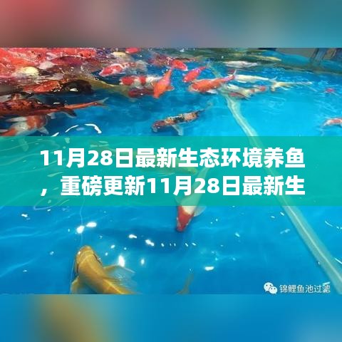 揭秘最新生態(tài)環(huán)境養(yǎng)魚(yú)秘籍，打造生態(tài)魚(yú)池新境界！