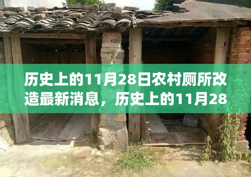 歷史上的11月28日，農(nóng)村廁所改造背后的勵志故事與變革力量最新消息