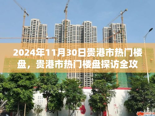 貴港市熱門樓盤探訪全攻略，購房指南（2024年11月30日）