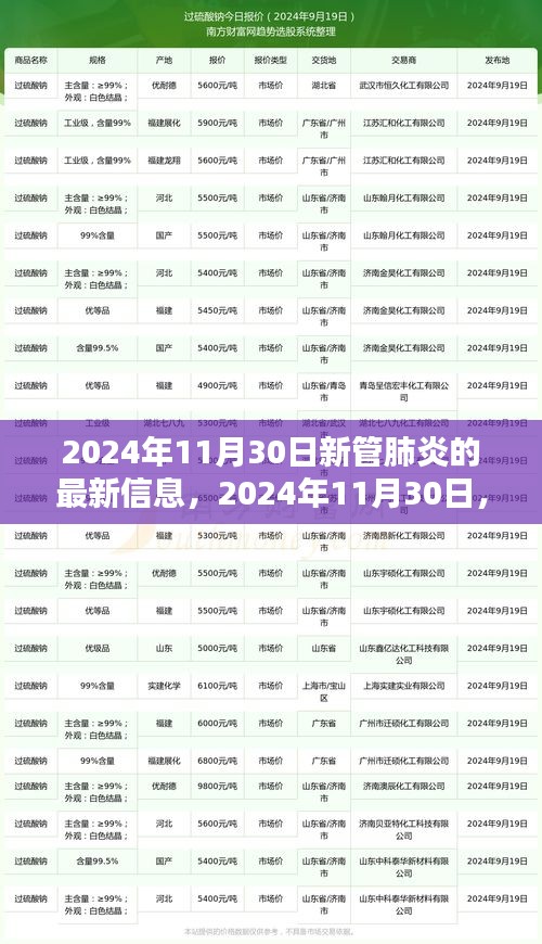 2024年11月30日新管肺炎最新動態(tài)，揭示最新篇章