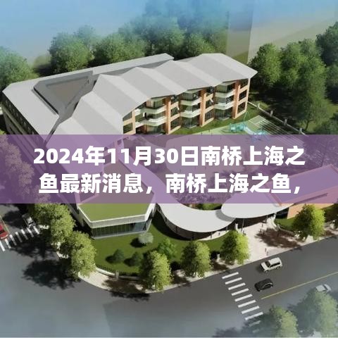 南橋上海之魚(yú)，溫馨日常與深厚友情的見(jiàn)證（最新消息，2024年11月30日）