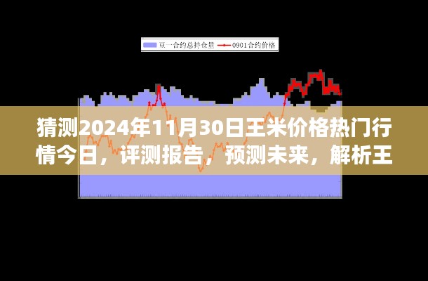 獨(dú)家解析，王米價(jià)格行情預(yù)測至2024年11月30日，今日熱門行情與未來展望評(píng)測報(bào)告