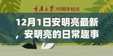 安明亮日常趣事，溫馨時光回顧，12月1日的精彩瞬間