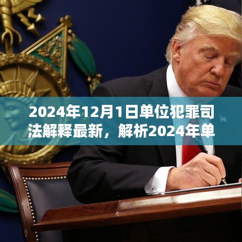 深度解析，2024年單位犯罪司法解釋最新動態(tài)及三大要點探討