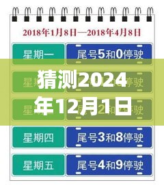 上海未來(lái)限行猜想，高架暢想曲與暖心故事，展望2024年12月的新規(guī)定