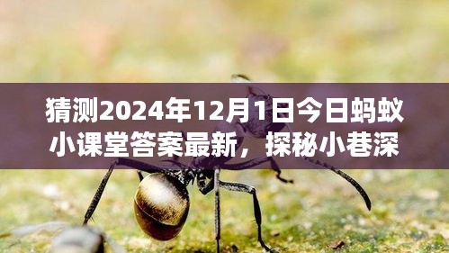 探秘螞蟻小課堂答案背后的神秘小店，2024年12月1日小巷深處的獨(dú)特風(fēng)味揭曉