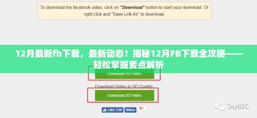 揭秘，最新動態(tài)下的FB下載全攻略，輕松掌握要點(diǎn)解析
