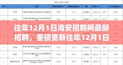 往年12月1日海安招聘網(wǎng)最新職位信息揭秘，求職者福音