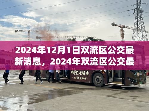 2024年雙流區(qū)公交最新消息詳解，獲取與使用公交服務(wù)的全面指南