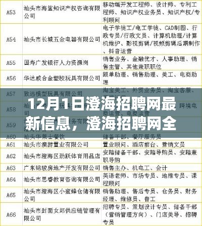 澄海招聘網全新升級，科技引領招聘變革，體驗未來招聘之旅（最新信息）