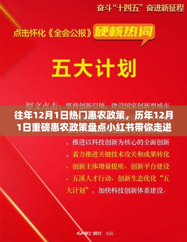 歷年12月1日惠農(nóng)政策盤點，走進紅利時代的鄉(xiāng)村福利小紅書分享會