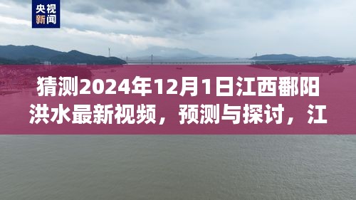 江西鄱陽湖區(qū)洪水現(xiàn)象觀察與預(yù)測，聚焦2024年12月1日的最新視頻探討