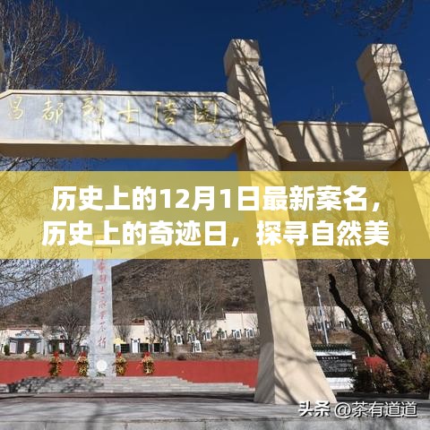 探尋奇跡日，歷史上的自然美景之旅與寧?kù)o革命之路的探尋