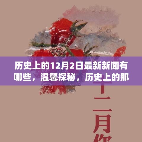 溫馨探秘，歷史上的十二月二日最新新聞與日常小故事回顧