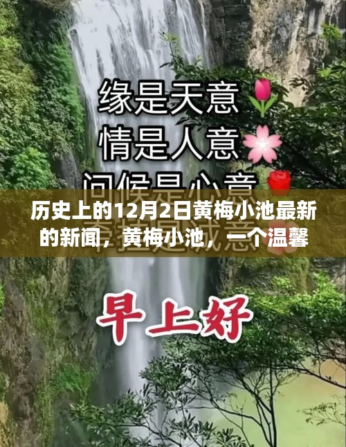 黃梅小池，溫馨日常與愛的紐帶——?dú)v史上的今天新聞回顧，12月2日的愛與陪伴故事