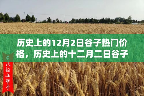 深度解析，歷史上的谷子熱門價(jià)格變遷與背景事件影響——十二月二日的回顧與剖析