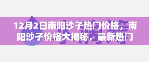 南陽沙子最新熱門價格揭秘，12月2日報價大放送