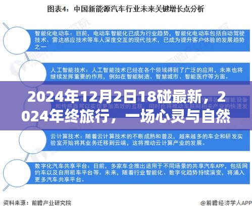 心靈與自然的碰撞，2024年終旅行記