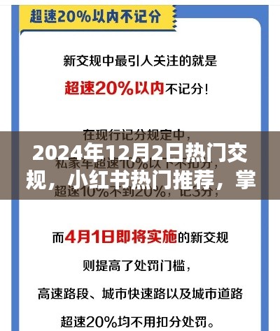 2024年交規(guī)新動態(tài)與熱門推薦，小紅書指南助你出行必備