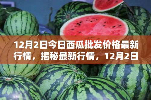 揭秘最新行情，深度解析12月2日西瓜批發(fā)價格走勢及最新行情