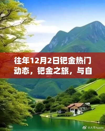 鈀金之旅，與自然美景相遇，探尋內(nèi)心寧靜的熱門動態(tài)回顧