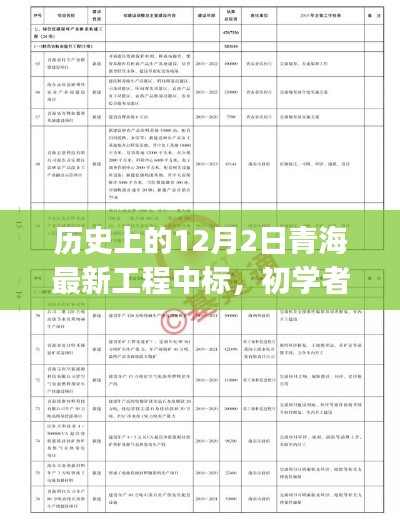 歷史上的12月2日青海最新工程中標，初學者與進階用戶的全程指南