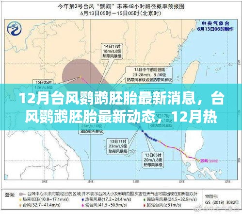 臺(tái)風(fēng)鸚鵡胚胎最新消息，12月熱帶風(fēng)暴孕育與影響回顧