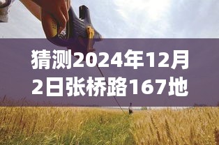 張橋路167地塊，溫馨日常的預(yù)測與小故事的美好展望（2024年12月2日）