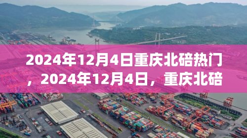 2024年12月4日重慶北碚之旅，探尋自然美景，重拾心靈寧靜