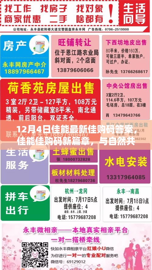 佳能佳購碼新篇章揭秘，與自然共舞，探尋心靈寧靜之地（12月4日最新答案）