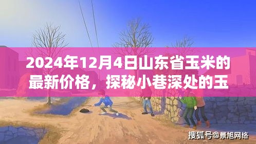 山東省玉米秘境探秘，最新價格與隱藏特色小店的奇妙邂逅