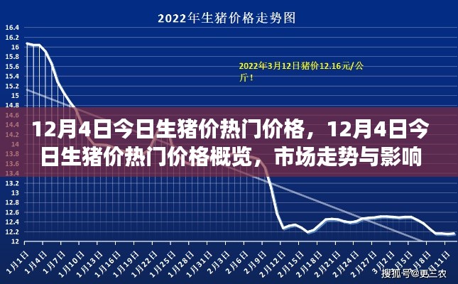 12月4日生豬價(jià)熱門概覽，深度解析市場(chǎng)走勢(shì)與影響因素