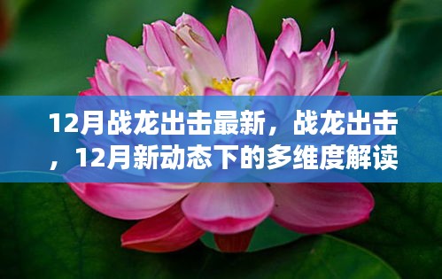 戰(zhàn)龍出擊，12月新動(dòng)態(tài)多維度解讀