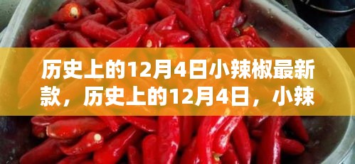 歷史上的小辣椒最新款誕生與影響，揭秘12月4日的獨特意義