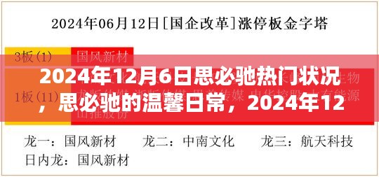 思必馳溫馨日常，揭秘2024年12月6日的奇妙時(shí)光