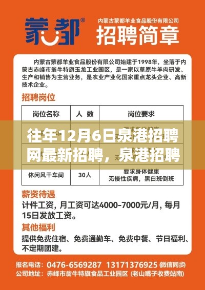 泉港招聘網(wǎng)獨(dú)家速遞，歷年12月6日最新招聘信息大盤點(diǎn)與往年招聘動(dòng)態(tài)回顧