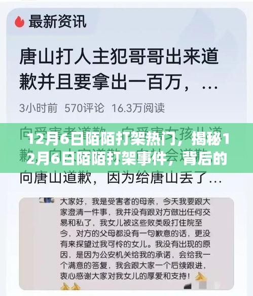 揭秘，12月6日陌陌打架事件背后的原因與影響熱議風(fēng)潮