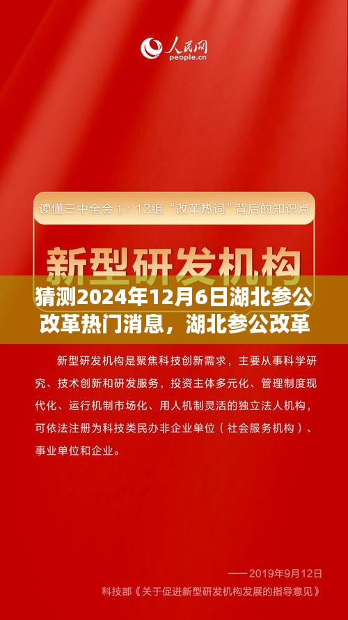 湖北參公改革展望，深度解析熱門消息，預(yù)測未來趨勢至2024年12月6日