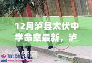 瀘縣太伏中學命案最新科技進展，智能安防系統(tǒng)重塑校園安全新篇章