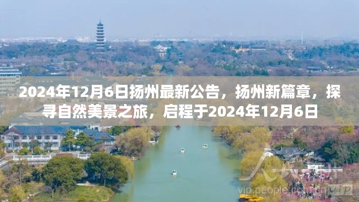 揚(yáng)州新篇章啟程，探尋自然美景之旅的最新公告（2024年12月6日）