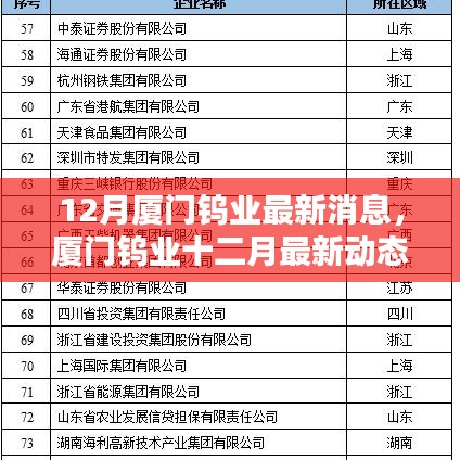 廈門鎢業(yè)十二月最新動態(tài)概覽，最新消息概覽