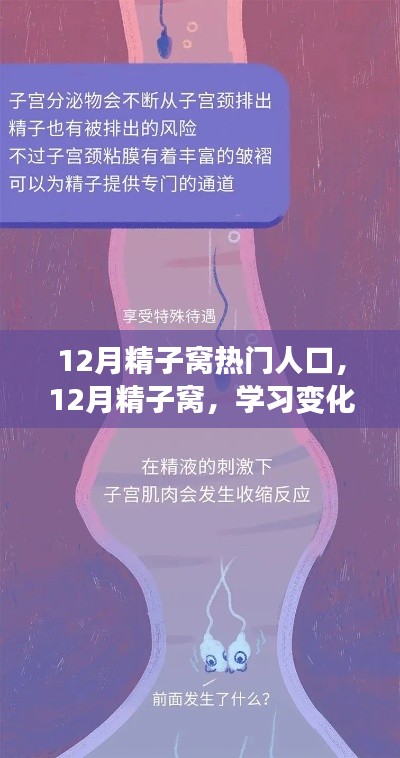 12月精子窩，學(xué)習(xí)變化與自信成就感的源泉，熱門人生的啟航地