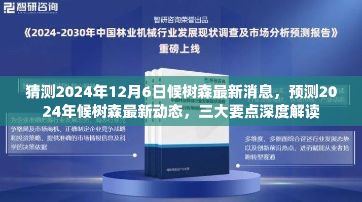 揭秘候樹森最新動態(tài)，三大要點深度解讀預測未來消息（2024年12月6日）