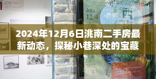 探秘洮南小巷寶藏，揭秘二手房市場最新動態(tài)與獨特小店的奇遇記（最新資訊，2024年12月6日）