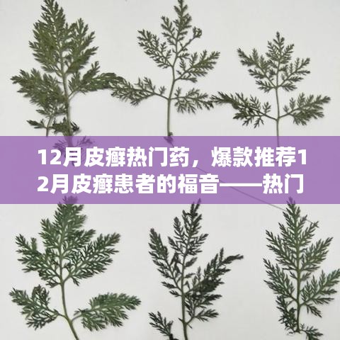 12月皮癬熱門藥物大盤點，爆款推薦與患者的福音